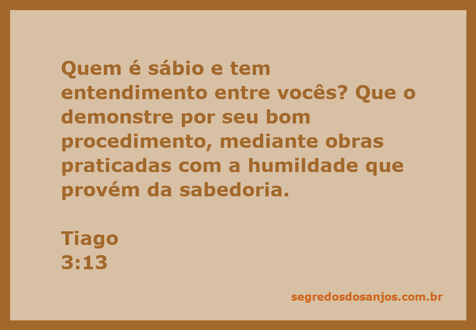 Uma pessoa demonstrando sabedoria e humildade através de boas obras, simbolizando o versículo Tiago 3:13.