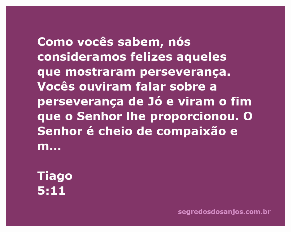 Imagem de um campo tranquilo simbolizando perseverança e fé, refletindo o versículo de Tiago 5:11 sobre a felicidade daqueles que perseveram.
