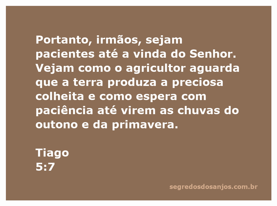 Ilustração de um agricultor esperando pela colheita, simbolizando a paciência e esperança na vinda do Senhor segundo Tiago 5:7.