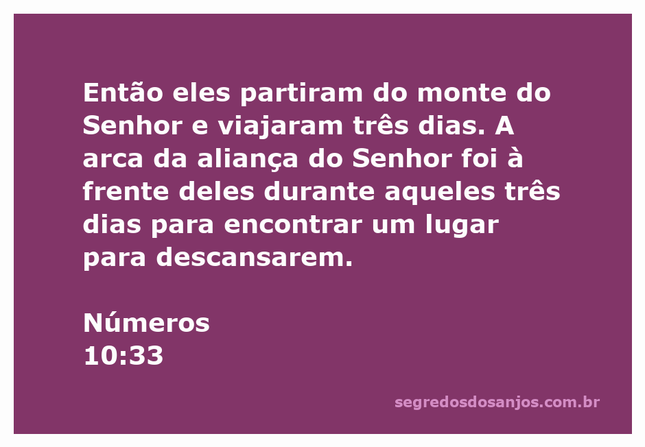 A arca da aliança do Senhor guiando o povo durante a jornada pelo deserto.