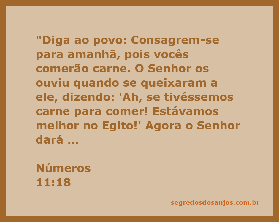Versículo de Números 11:18, onde Deus promete carne ao povo que se queixou no deserto.