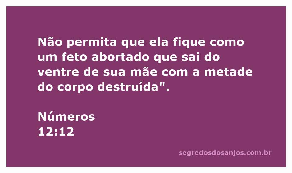 Ilustração representando a passagem de Números 12:12, refletindo sobre a fragilidade da vida e a importância do respeito à criação.