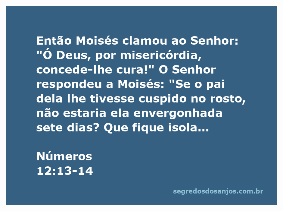 Moisés clamando ao Senhor por cura para a irmã Miriã, com uma representação da passagem de Números 12:13-14.