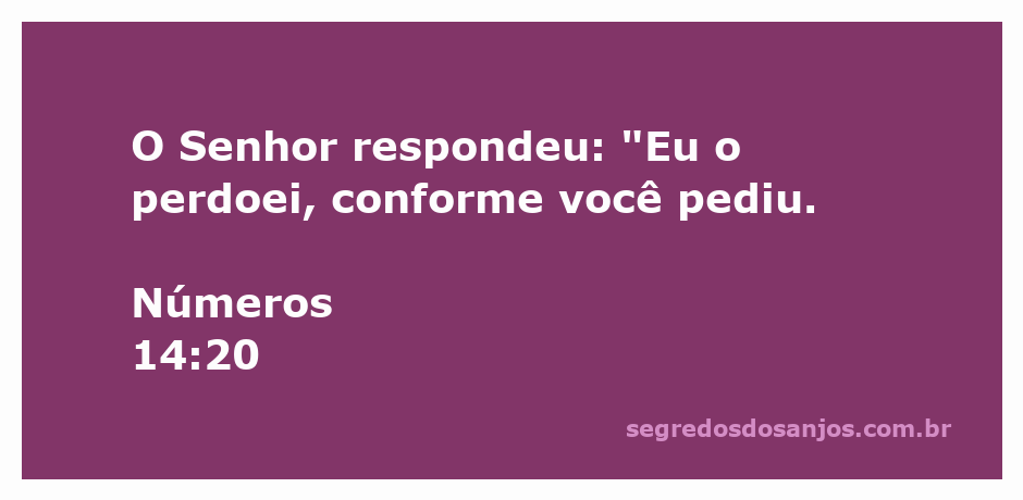A representação do perdão de Deus conforme Números 14:20, mostrando a misericórdia divina.