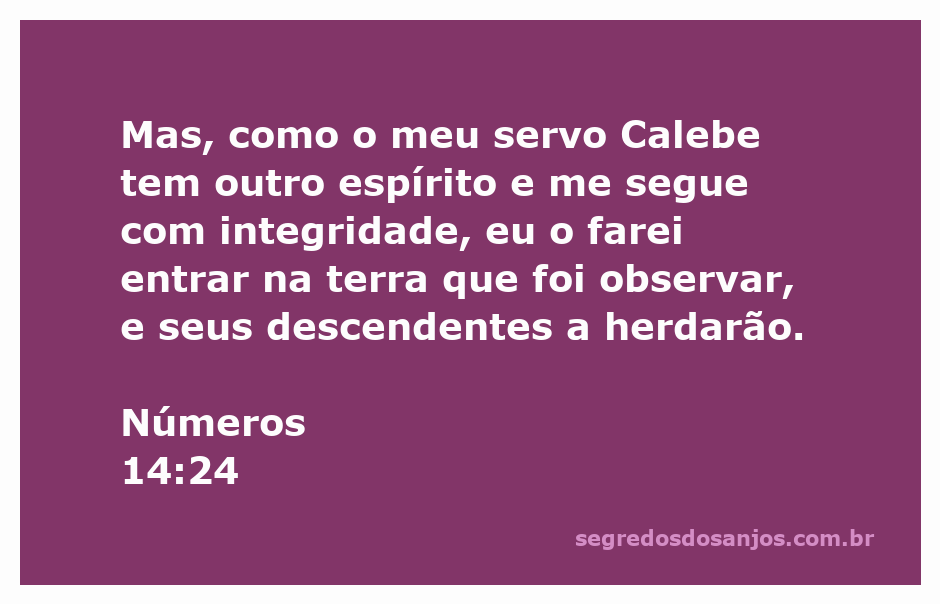 Calebe, um servo fiel, é recompensado por sua integridade e fé em Deus, conforme Números 14:24.