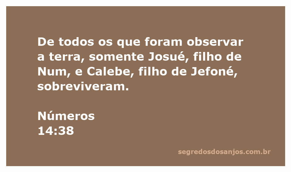 Josué e Calebe, os dois únicos sobreviventes da exploração da terra prometida.