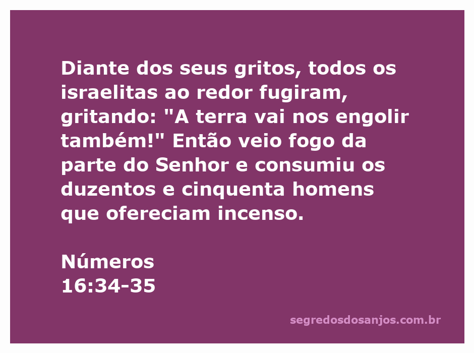 Imagem ilustrativa da punição divina com fogo descendo sobre os homens que ofereciam incenso, representando a passagem de Números 16:34-35.