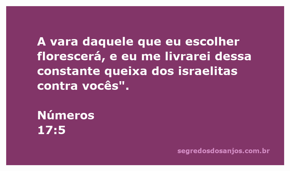 Ilustração da vara florescente representando a escolha divina conforme Números 17:5