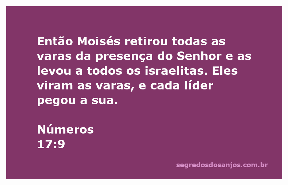 Moisés mostrando as varas dos líderes israelitas após a presença do Senhor.
