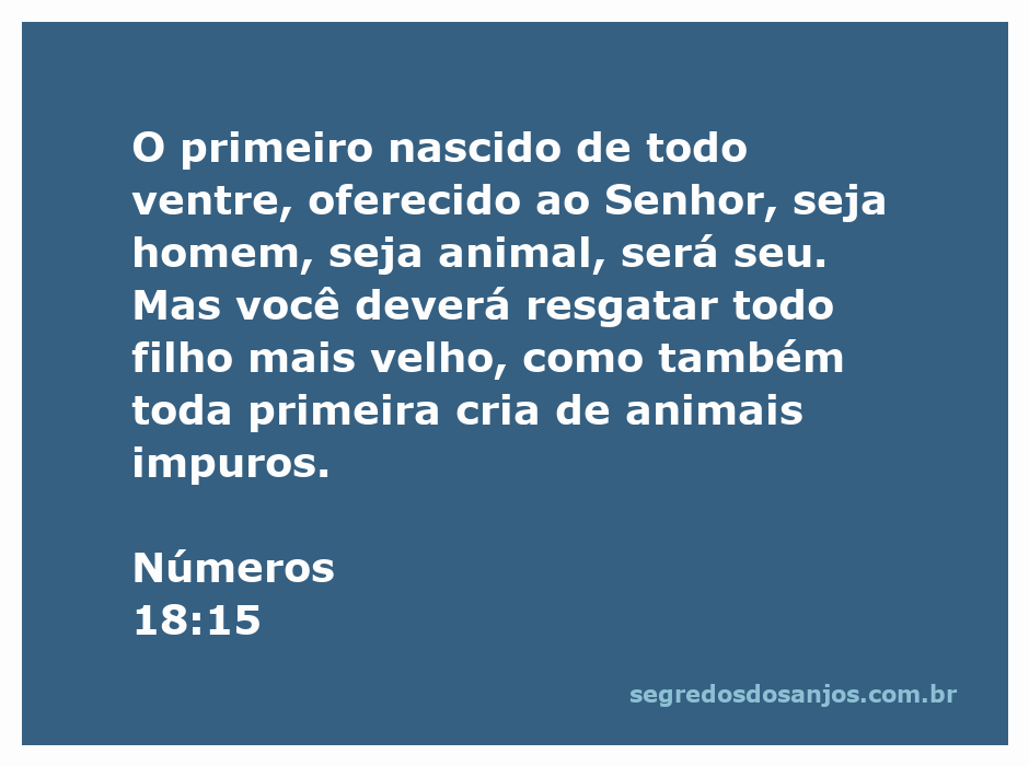 Imagem representativa do versículo Números 18:15, mostrando a oferta dos primogênitos ao Senhor.