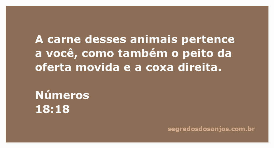Representação da oferta de carne mencionada em Números 18:18