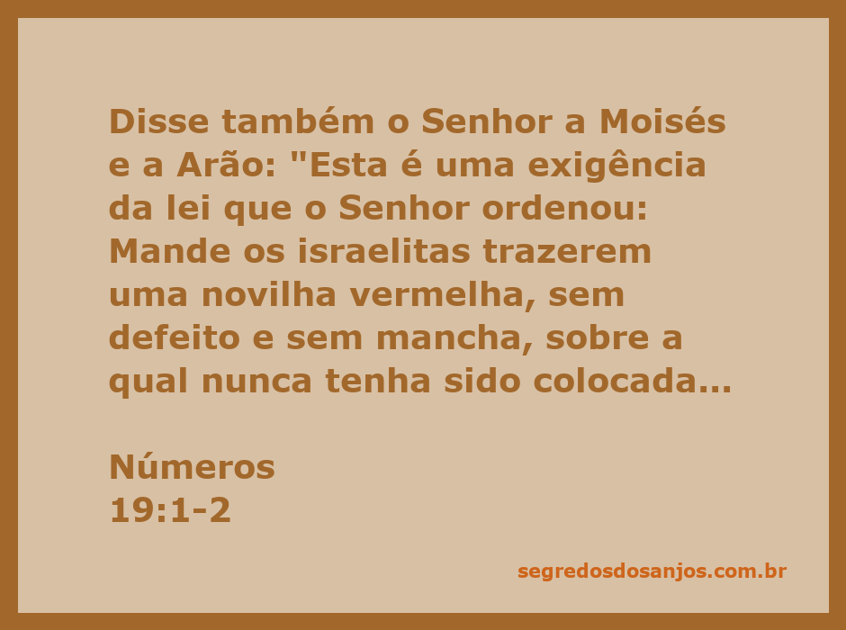 Ilustração de uma novilha vermelha, simbolizando a exigência da lei em Números 19:1-2