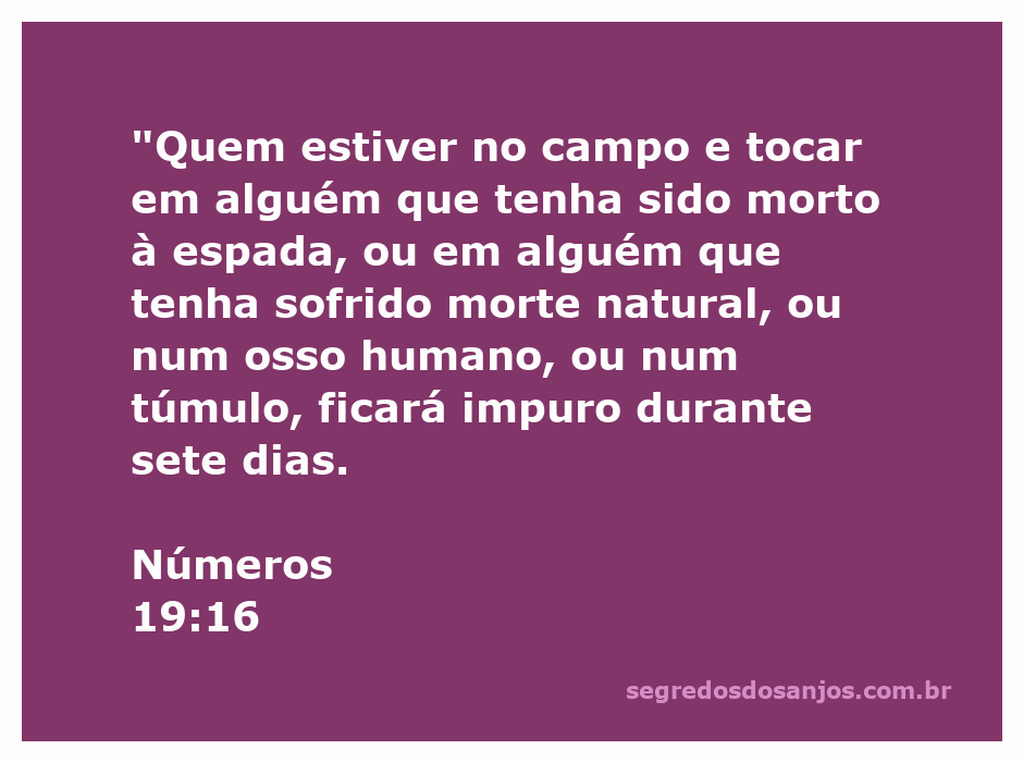 Um campo aberto com uma pessoa tocando um objeto, simbolizando a impureza ritual de acordo com Números 19:16.