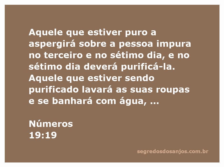 Ilustração do ritual de purificação descrito em Números 19:19, mostrando a aspersão de água sobre uma pessoa impura.