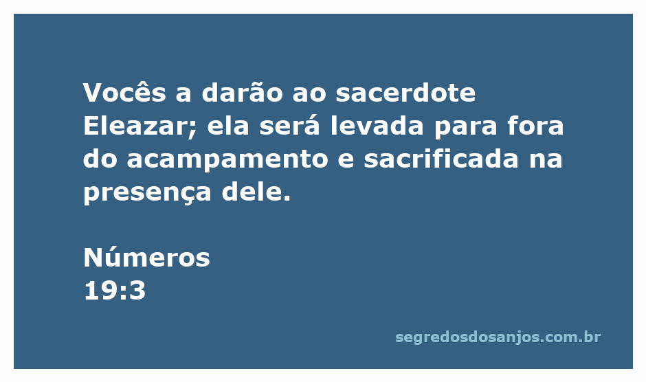 Sacrifício de uma novilha em Números 19:3, com o sacerdote Eleazar supervisionando o rito.