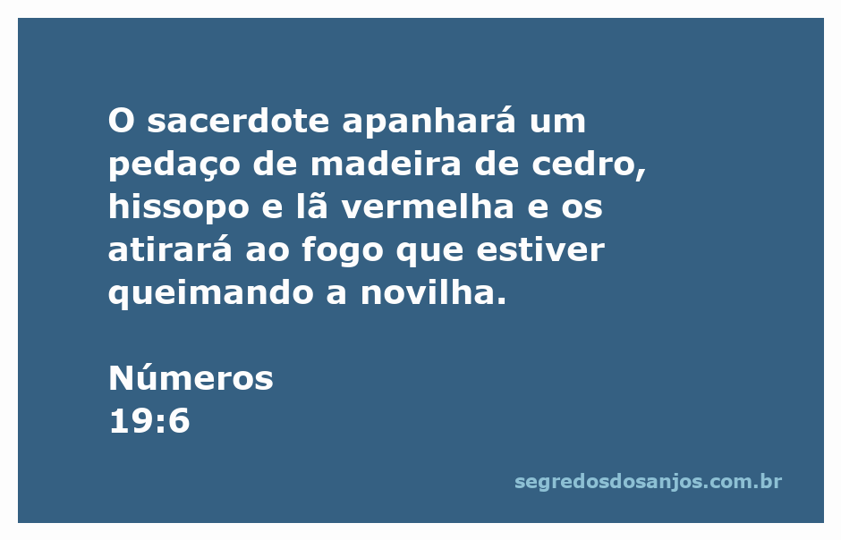 Sacerdote segurando madeira de cedro, hissopo e lã vermelha, preparando-se para o ritual de purificação com fogo.