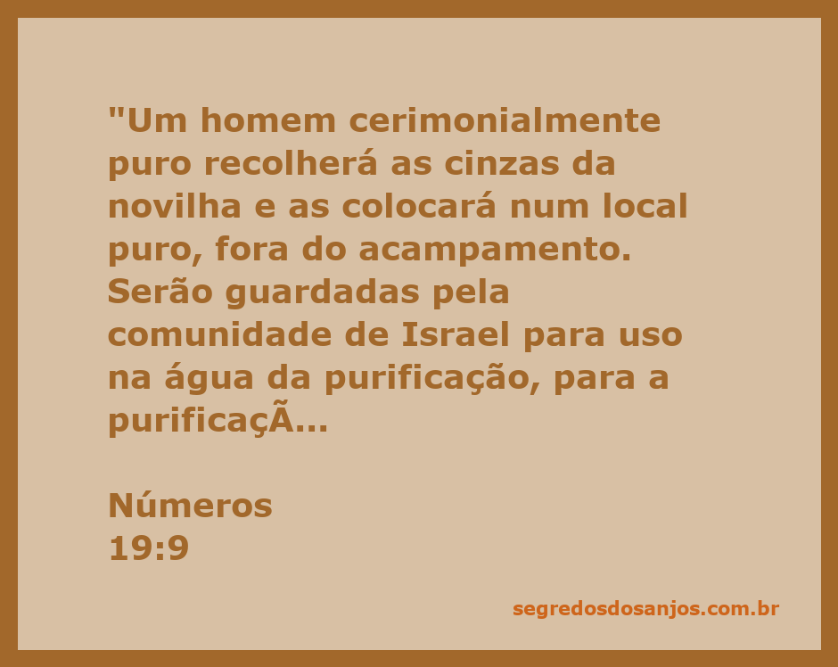 Homem recolhendo cinzas de uma novilha em um local puro, simbolizando a purificação na comunidade de Israel.