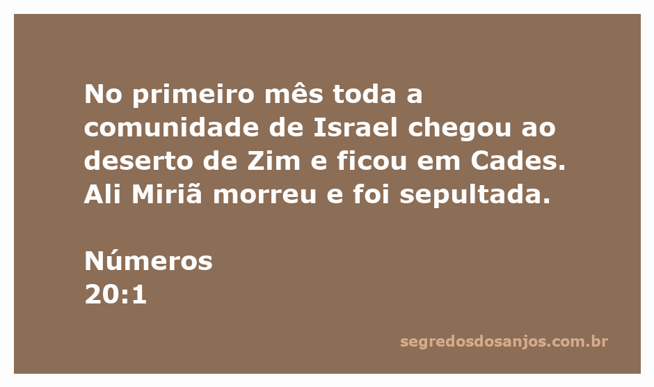 Imagem representativa do deserto de Zim, onde a comunidade de Israel se reuniu em Cades, com uma referência à morte de Miriã.