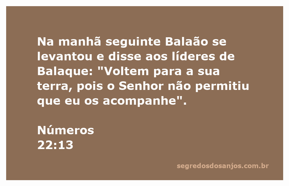 Balaão se dirige aos líderes de Balaque, explicando que não pode acompanhá-los conforme a orientação do Senhor.