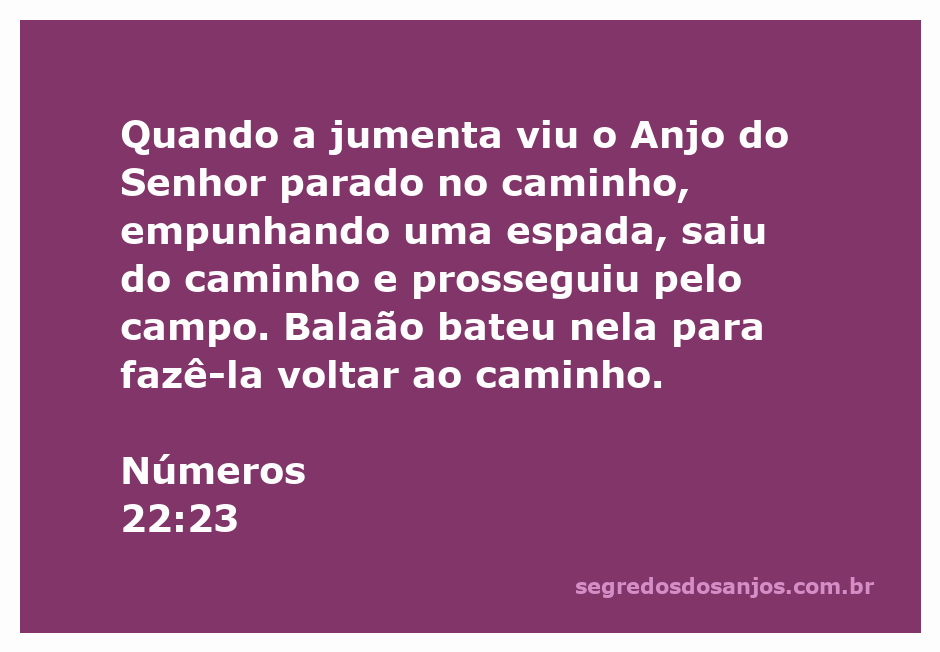 Jumenta desviando-se de um anjo com espada em um caminho