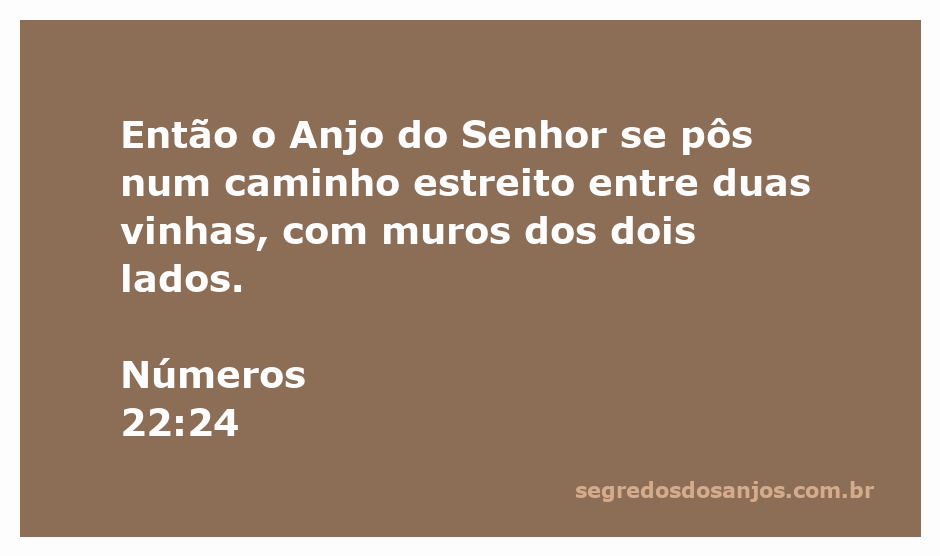 Anjo do Senhor bloqueando o caminho estreito entre duas vinhas com muros ao lado.