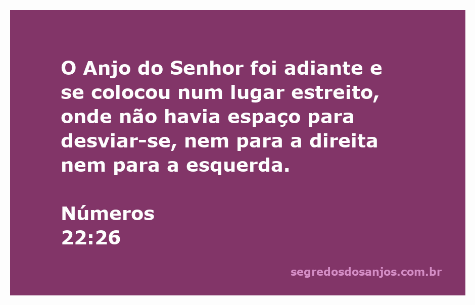 Ilustração do Anjo do Senhor em um caminho estreito, simbolizando a direção divina.
