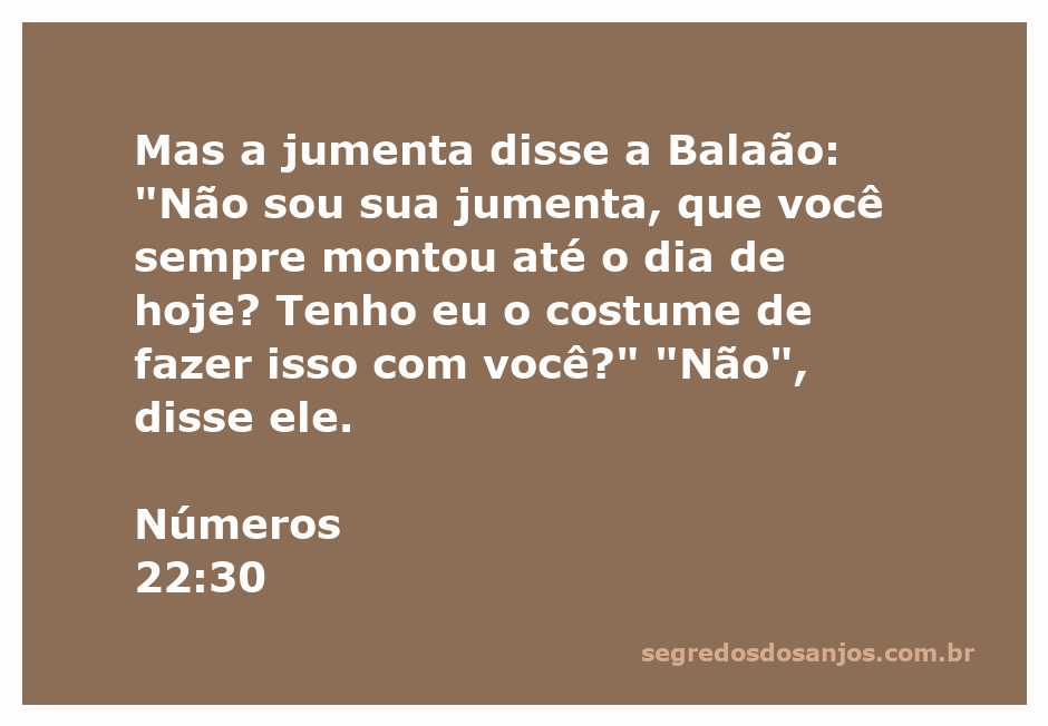 A jumenta fala com Balaão, questionando seu comportamento.