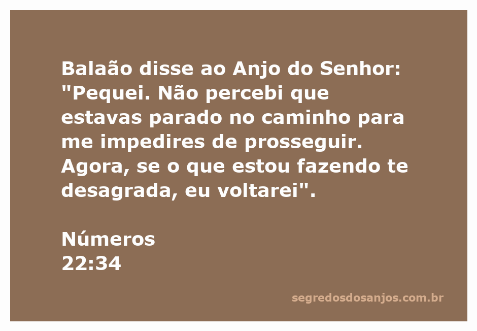 Balaão reconhecendo o Anjo do Senhor em seu caminho.