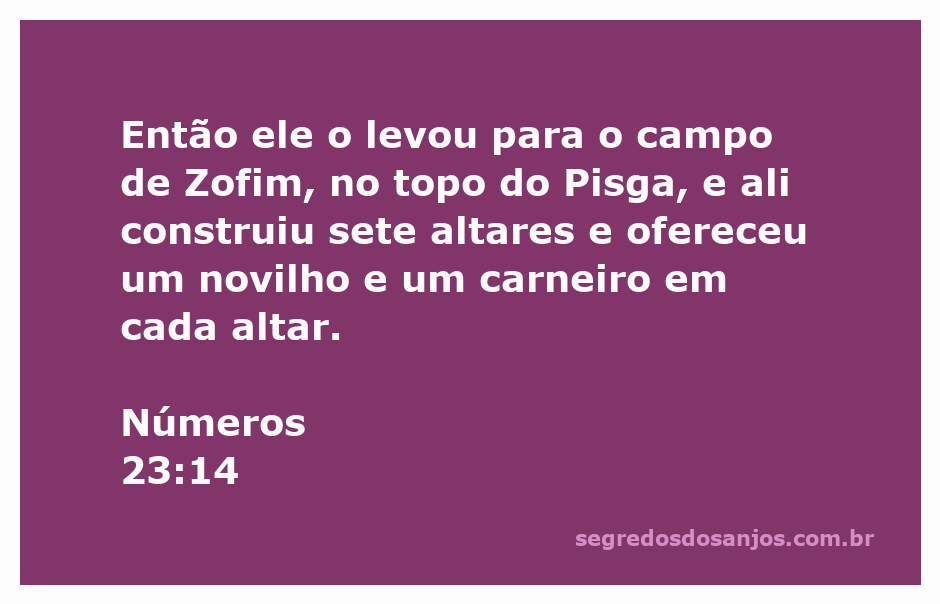 Imagem do profeta Balaão construindo altares no campo de Zofim conforme Números 23:14.