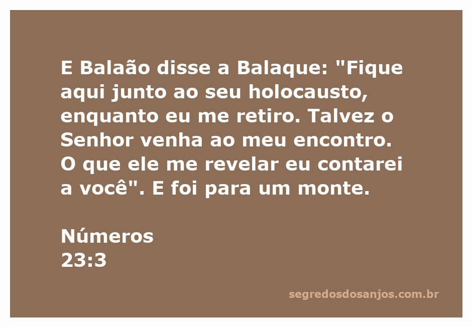 Balaão se retira para consultar o Senhor sobre o que revelar a Balaque