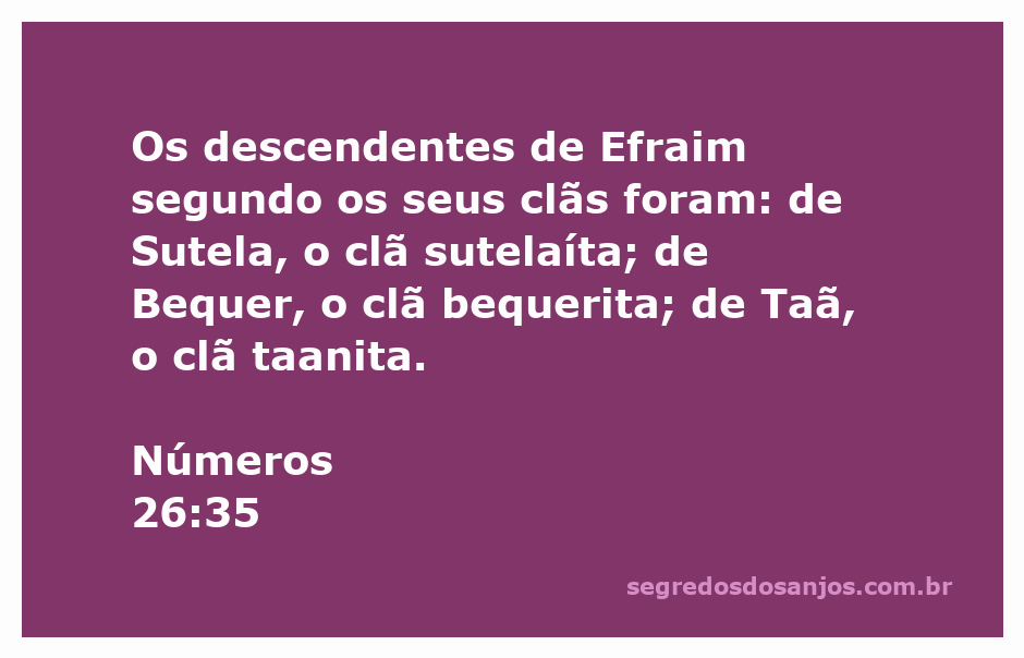Representação gráfica dos clãs dos descendentes de Efraim mencionados em Números 26:35.
