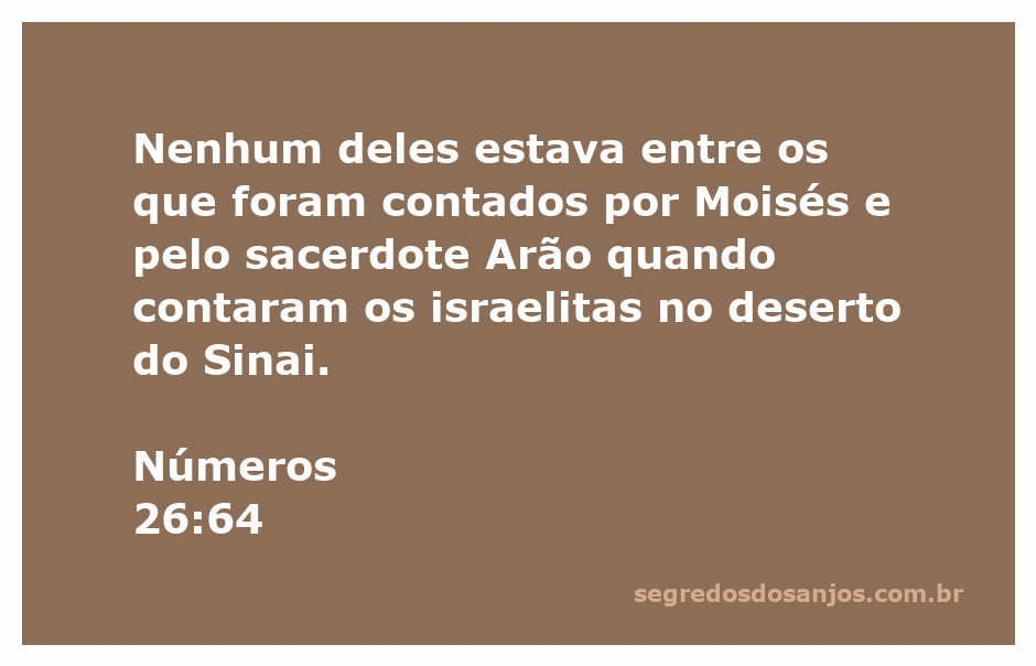 Contagem dos israelitas no deserto do Sinai, com foco na exclusão dos levitas.