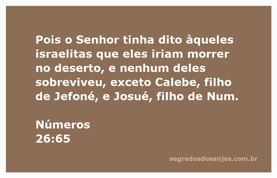 Ilustração da passagem de Números 26:65, destacando Calebe e Josué como os únicos sobreviventes do deserto.