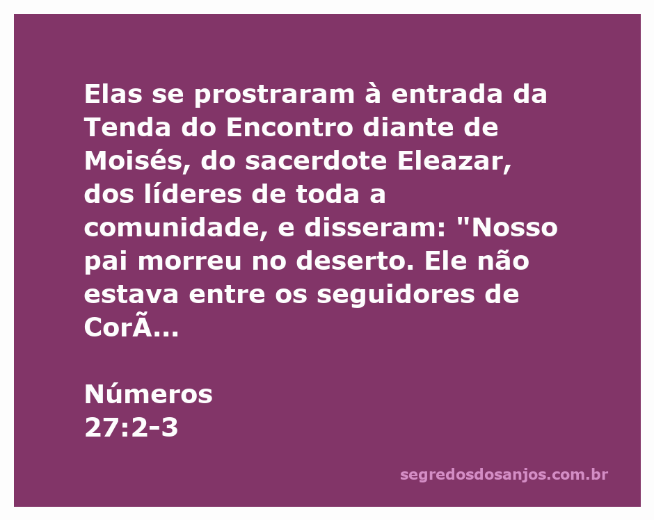 Mulheres se prostram diante de Moisés e líderes da comunidade, buscando justiça sobre a herança de seu pai.