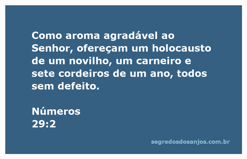 Sacrifício de holocausto com novilho, carneiro e cordeiros, representando a oferta a Deus.