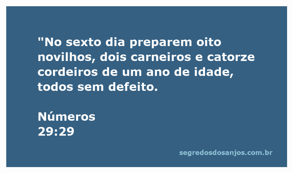 Ilustração da oferta de oito novilhos, dois carneiros e catorze cordeiros conforme Números 29:29 da Bíblia.