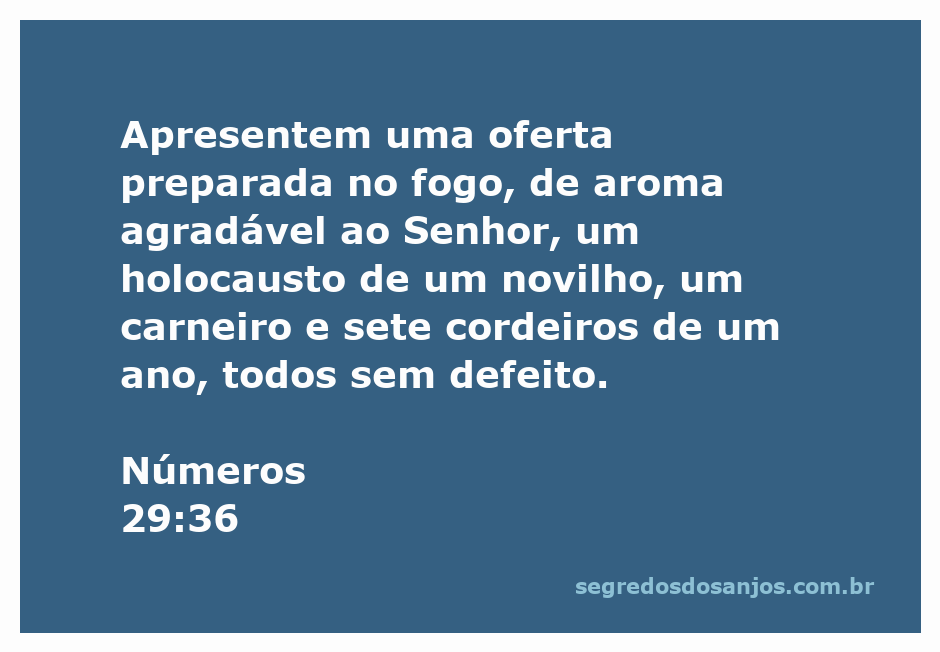 Imagem de uma oferta de holocausto com novilho, carneiro e cordeiros preparados para o Senhor.