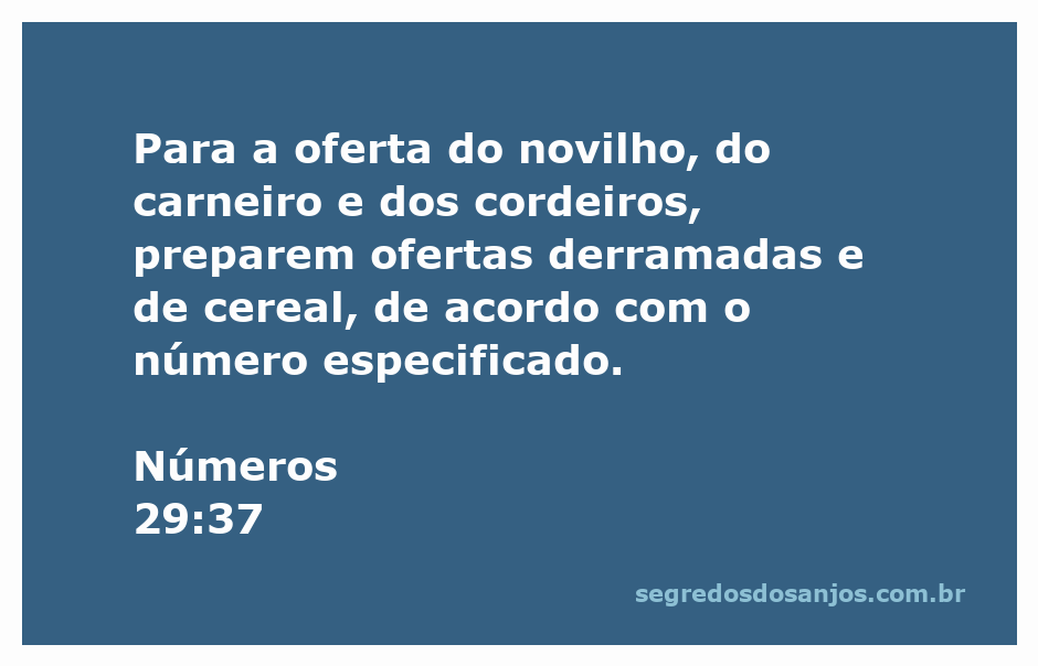Oferta de novilho, carneiro e cordeiros com ofertas derramadas e de cereal conforme Números 29:37.
