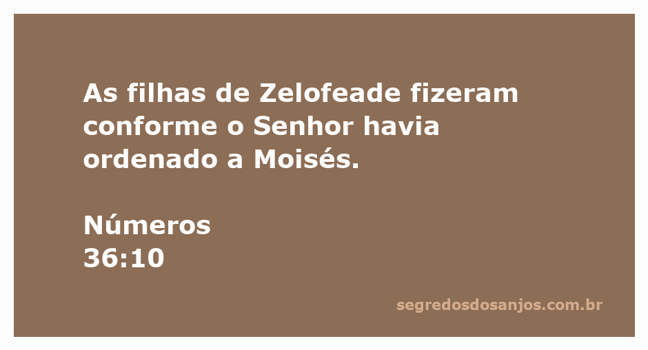 As filhas de Zelofeade obedecendo a ordem do Senhor a Moisés