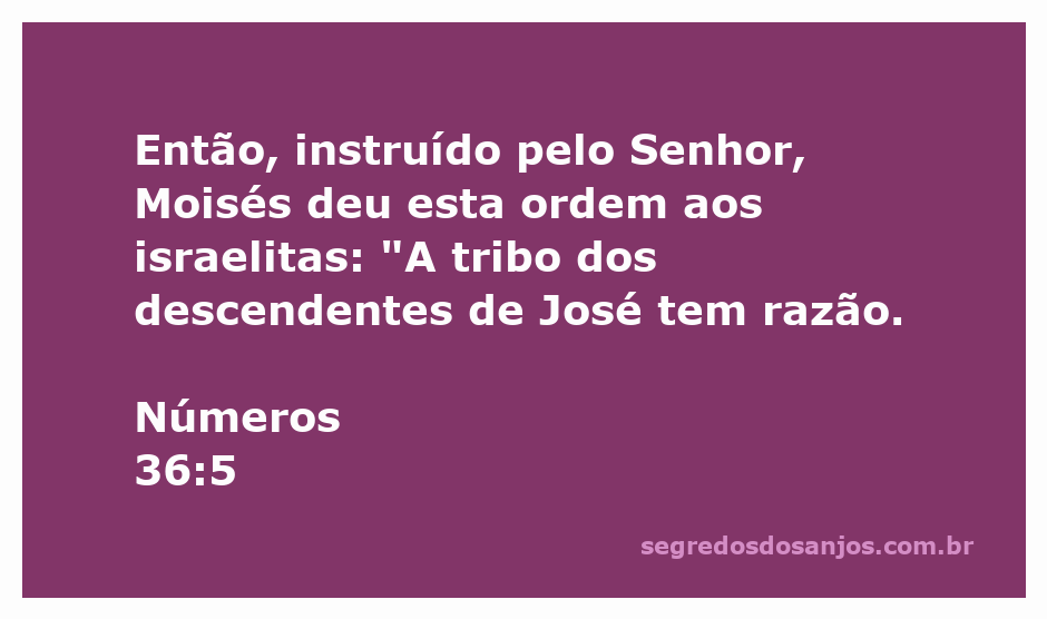 Moisés instruindo os israelitas sobre a tribo dos descendentes de José conforme Números 36:5.
