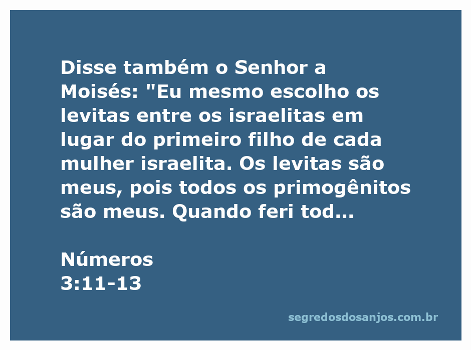 Imagem representativa da escolha dos levitas por Deus em Números 3:11-13, destacando a separação dos primogênitos de Israel.