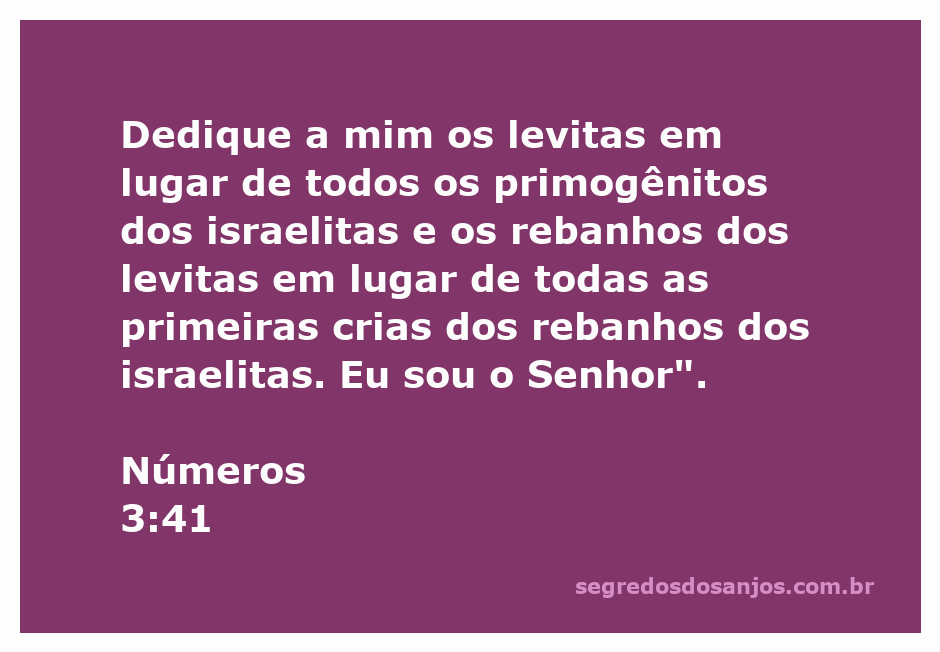 Imagem representativa do versículo Números 3:41, que fala sobre a dedicação dos levitas ao Senhor.