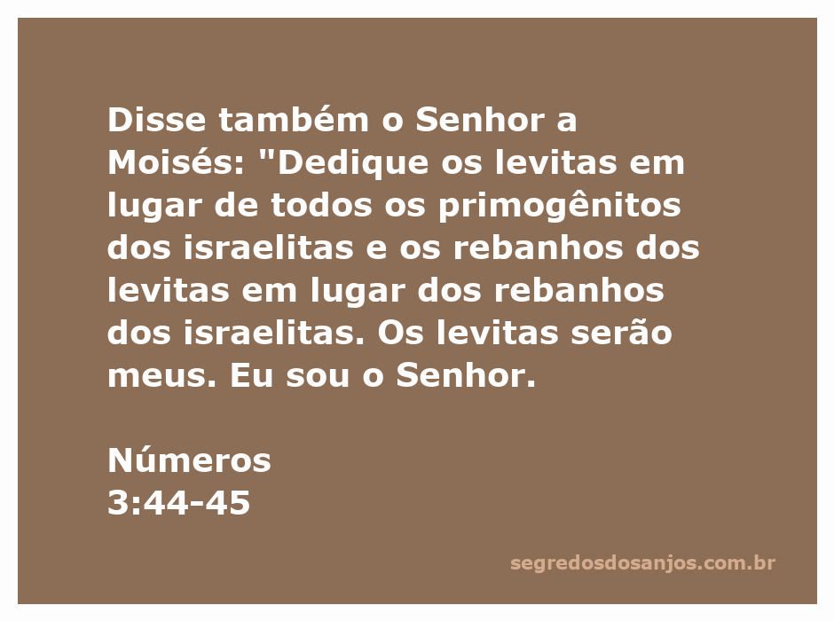 Imagem que representa a dedicação dos levitas conforme Números 3:44-45, simbolizando a escolha divina dos levitas em lugar dos primogênitos dos israelitas.