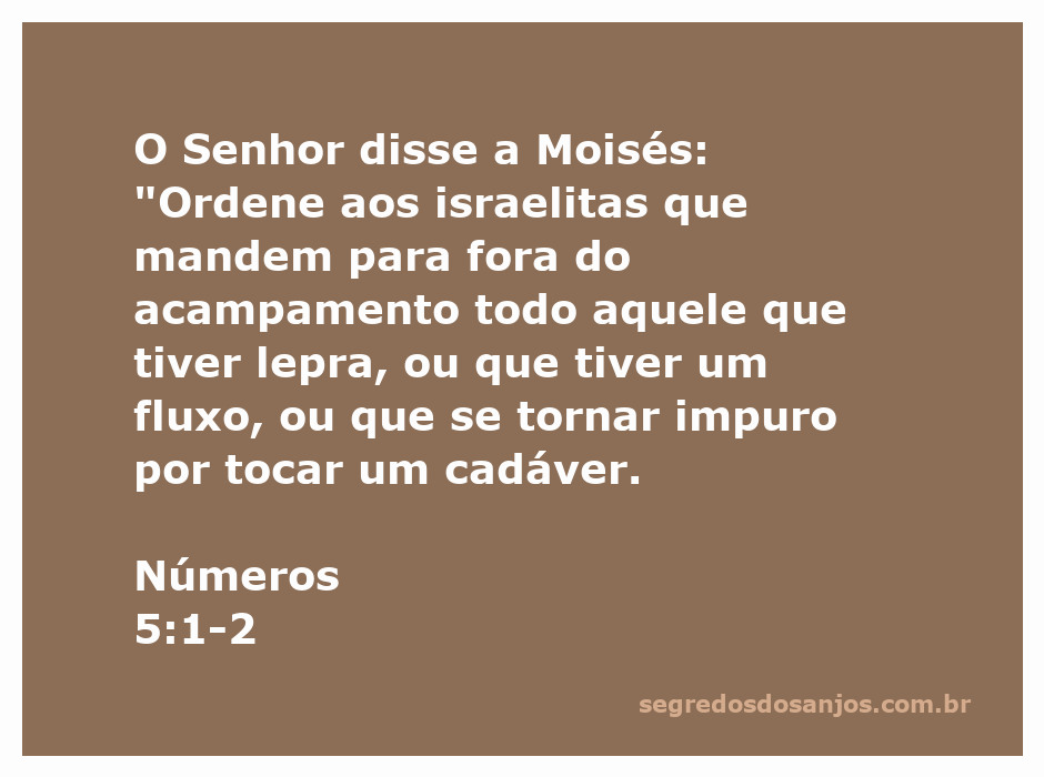 Imagem representativa da purificação e exclusão no acampamento israelita, com referência ao versículo Números 5:1-2.