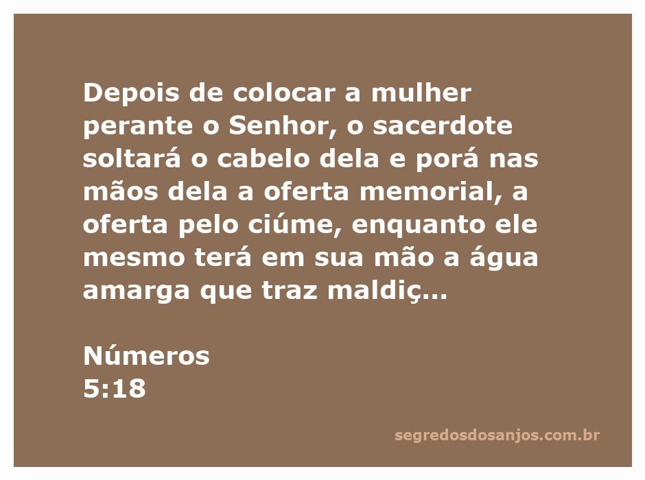 Uma mulher diante do sacerdote com cabelo solto, segurando a oferta memorial enquanto o sacerdote segura a água amarga.