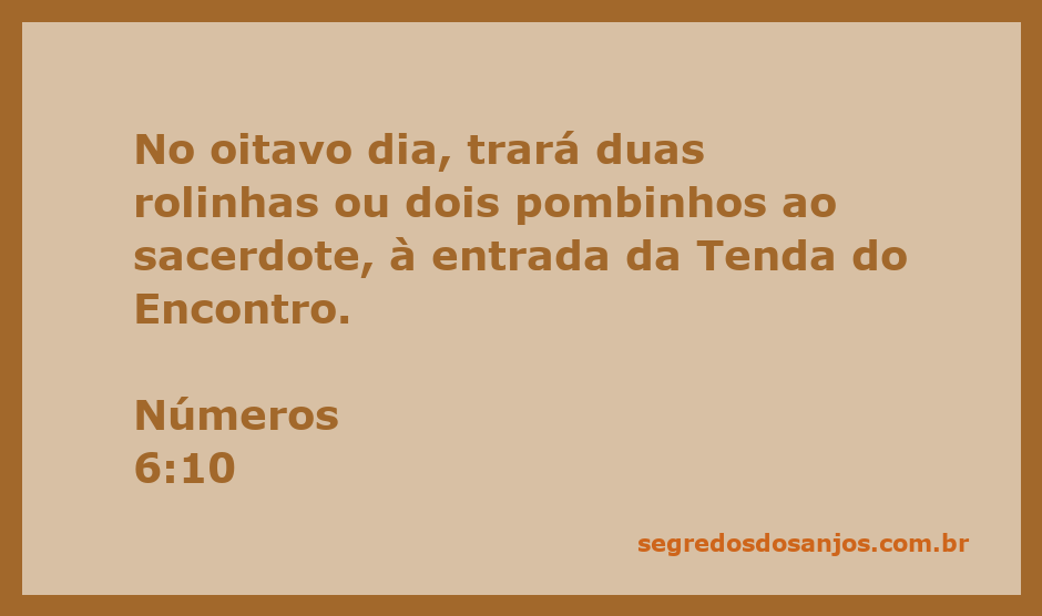 Imagem de duas rolinhas e dois pombinhos simbolizando a oferta de purificação na Tenda do Encontro.