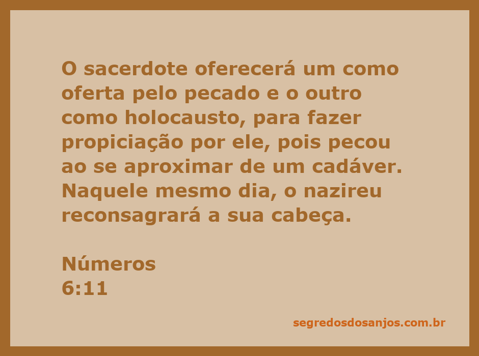 Ilustração de um sacerdote realizando rituais de purificação conforme Números 6:11.