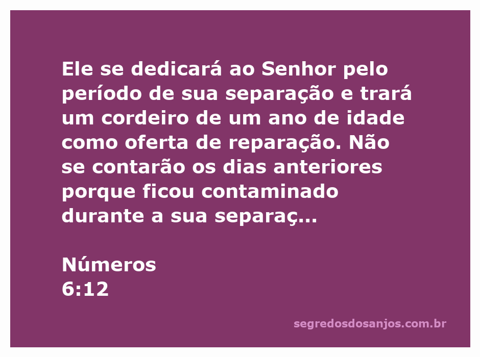 Um cordeiro de um ano de idade representando a oferta de reparação mencionada em Números 6:12.
