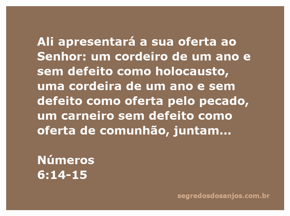 Imagem representativa da oferta descrita em Números 6:14-15, incluindo cordeiros, carneiros e pães sem fermento.