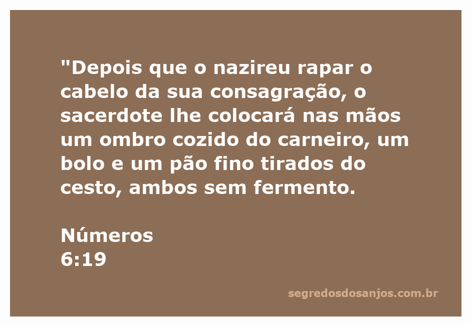Sacerdote apresentando alimentos ao nazireu após a consagração, representando Números 6:19.